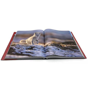 Günstiges, hochwertiges Hardcover-Buch mit Druckkarton, ausgefallenes Buch, gedruckt in China